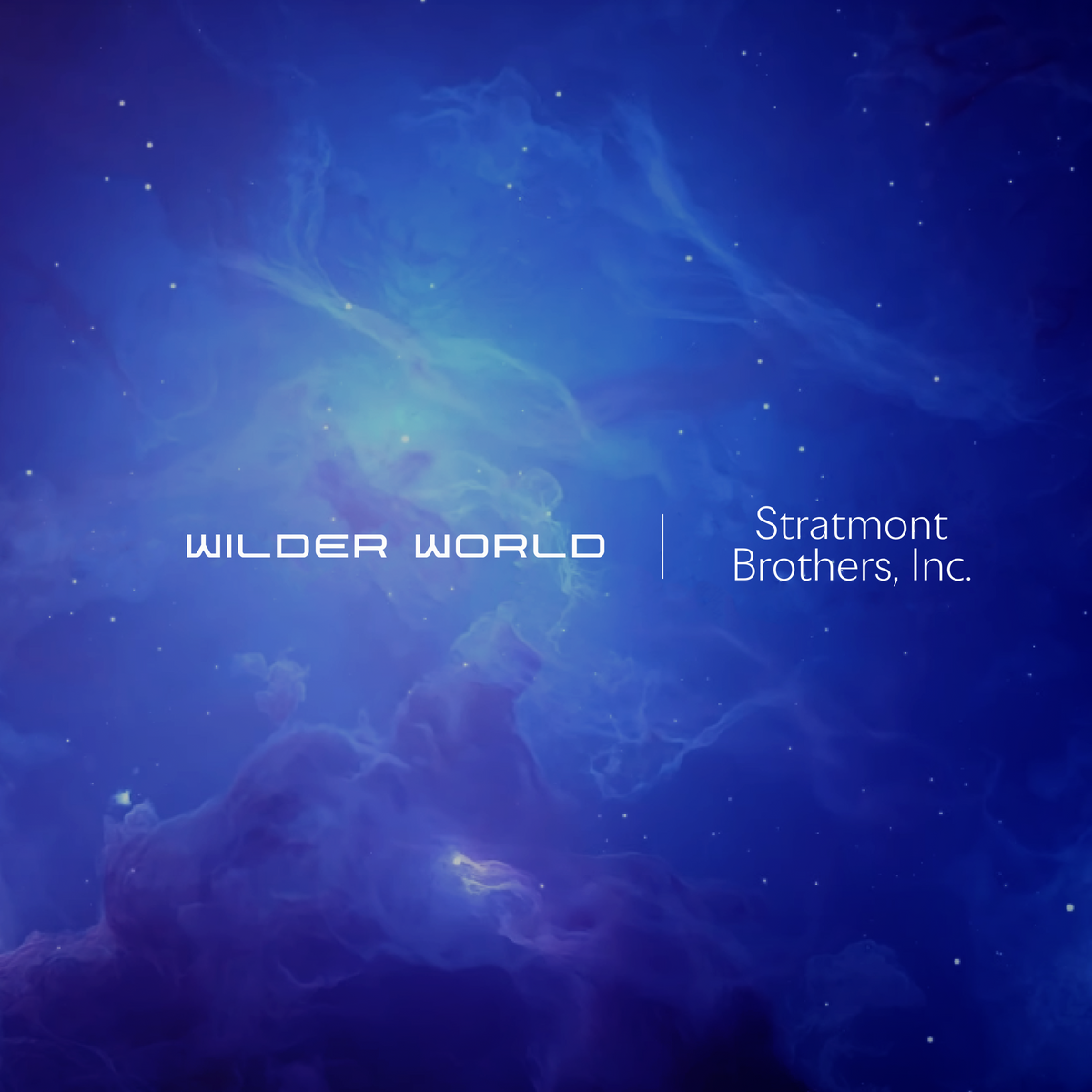 Welcome to Wilder World: Stratmont Brothers Inc