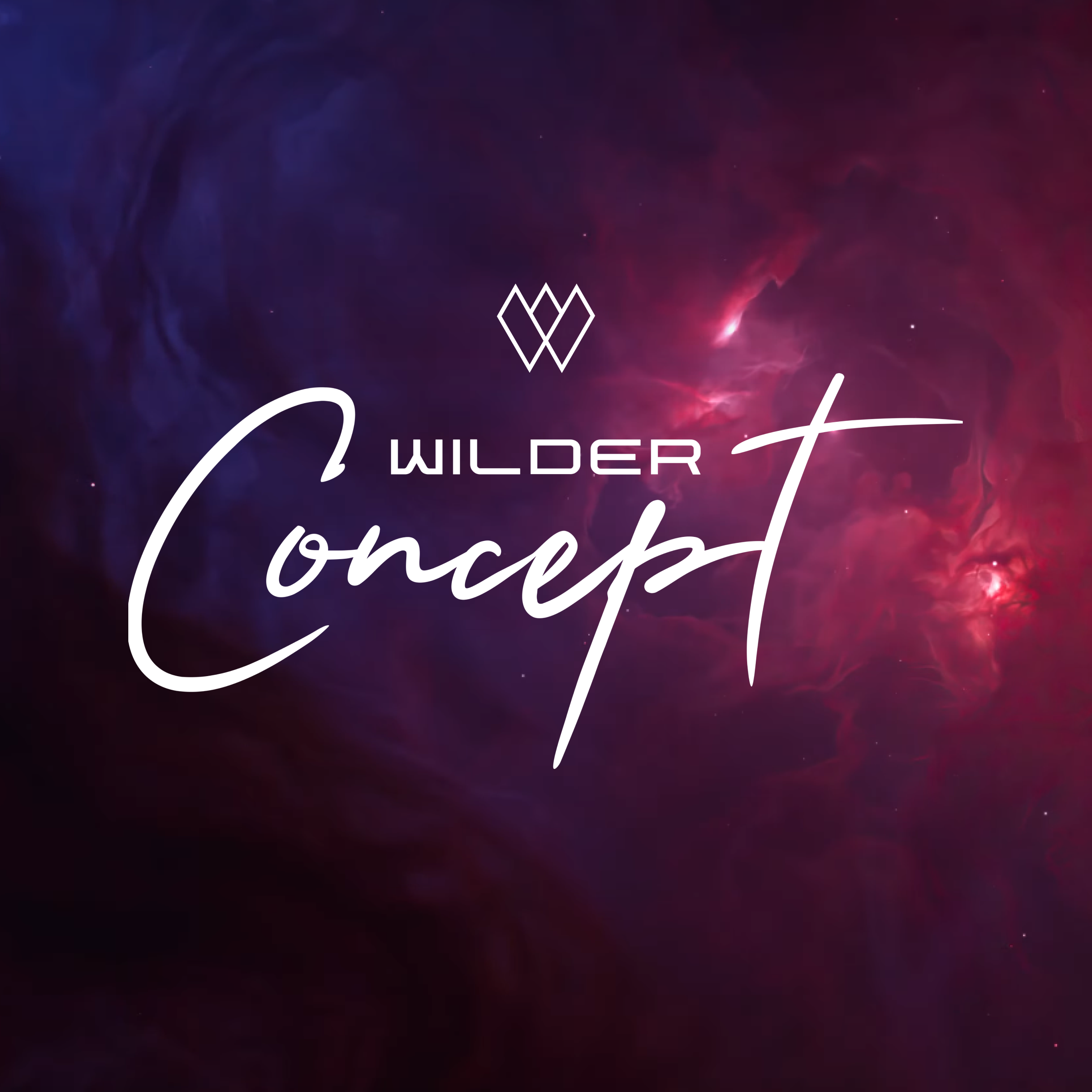 Presenting our newest Metaverse industry - Wilder.Concept