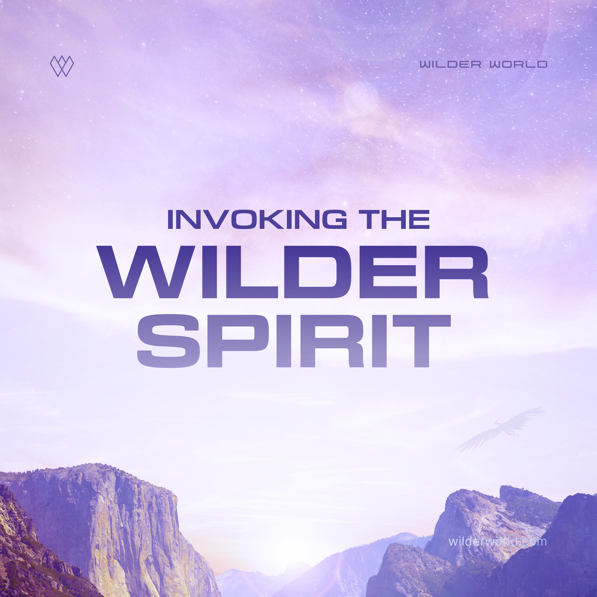 2022 Roadmap Phase 1: Invoking the Wilder Spirit