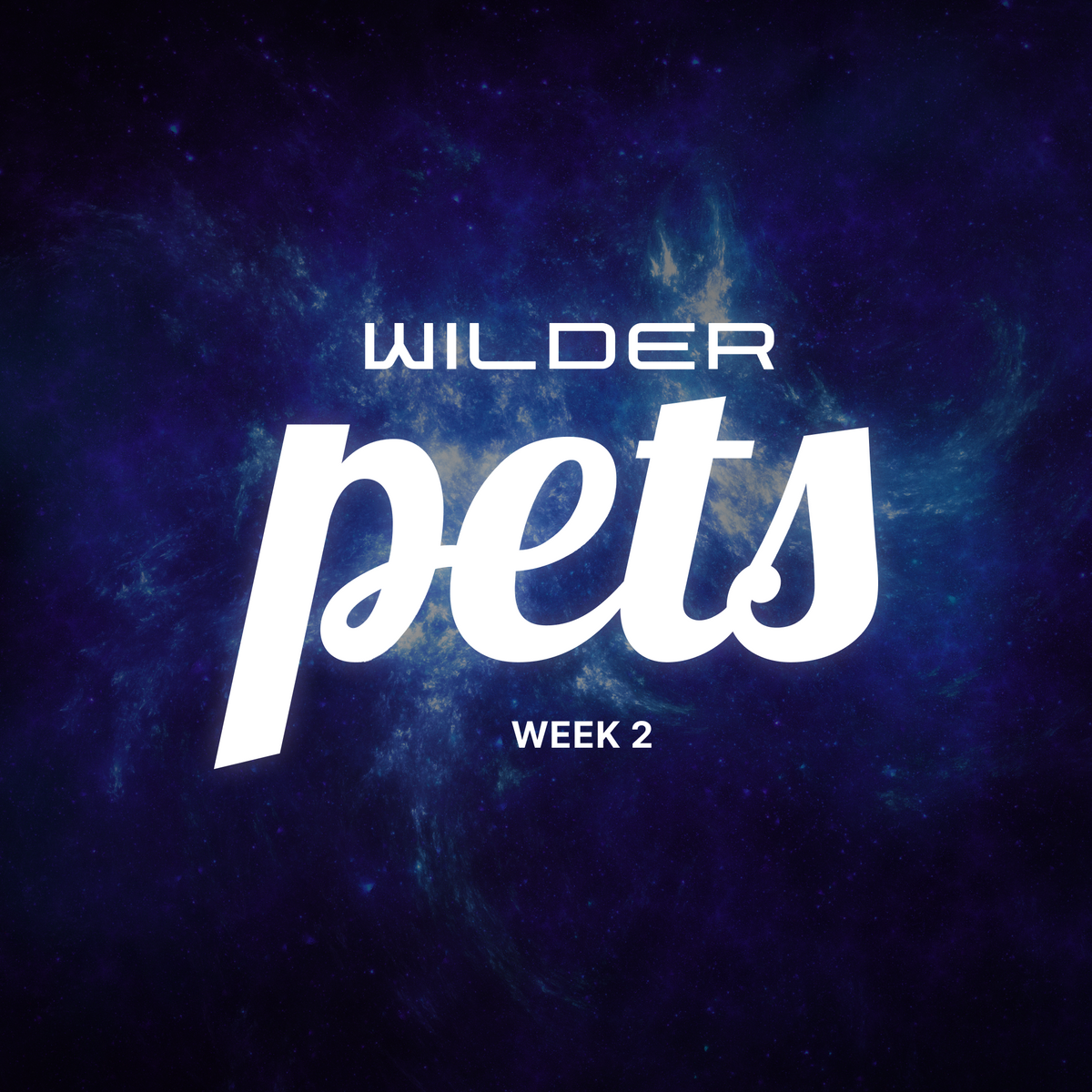 Week 2: Pets Reveal & Quest Winners