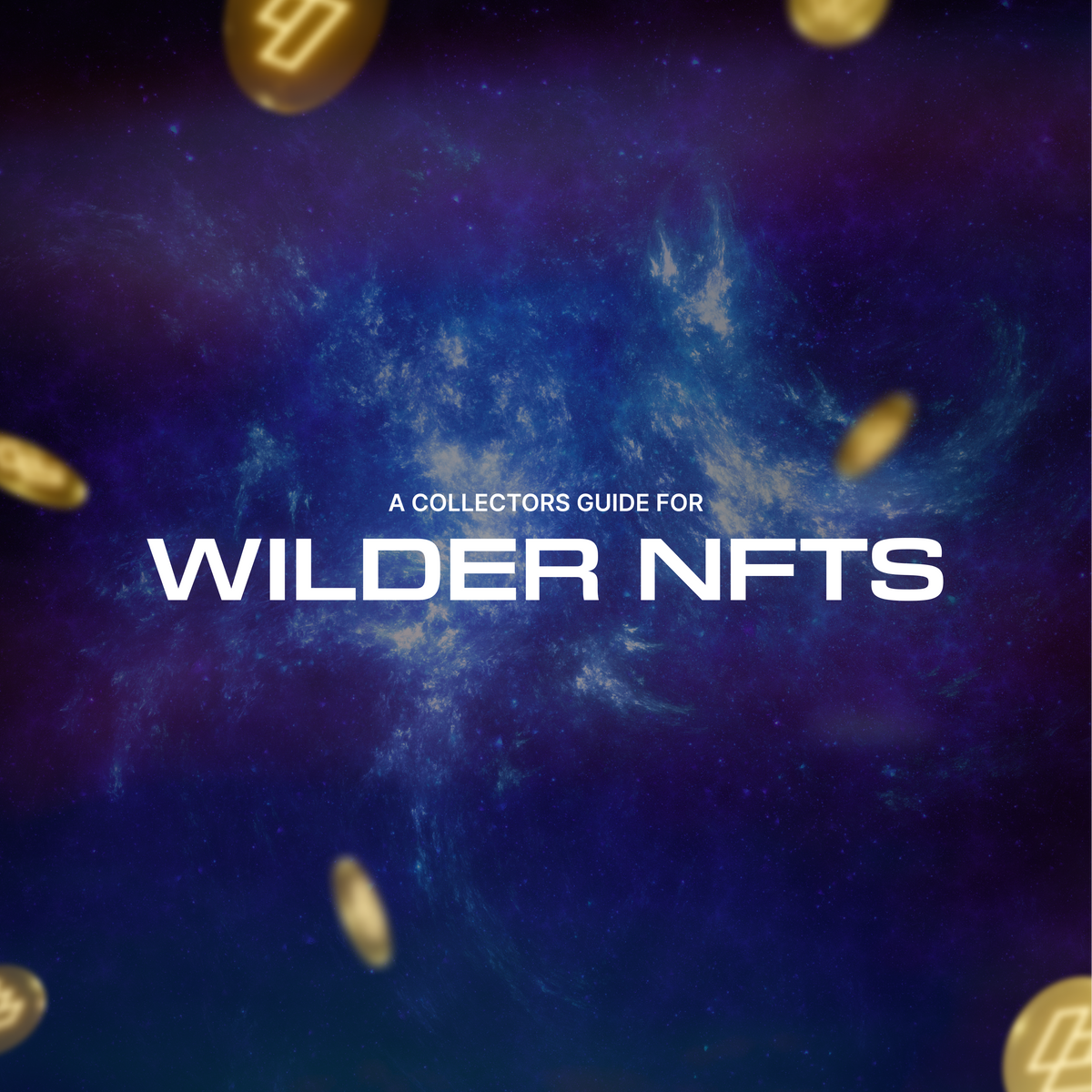 A Collectors Guide to Wilder NFTs