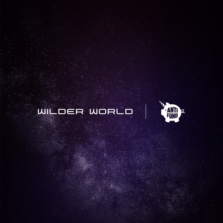 Jake Paul and Geoffrey Woo’s Anti Fund Pick Wilder World as The Metaverse of Choice