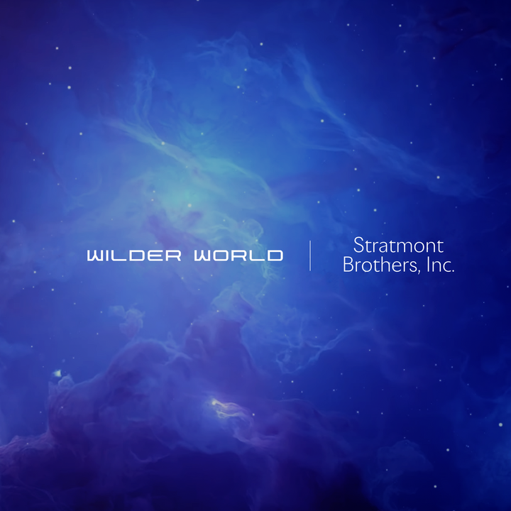 Welcome to Wilder World: Stratmont Brothers Inc