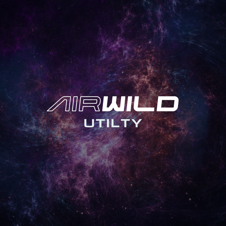 Introducing the versatility of AIR WILD Metaverse Kicks in-game utility